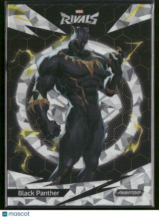 2025 Kakawow Marvel Rivals Card PMR-B-06 Black Panther